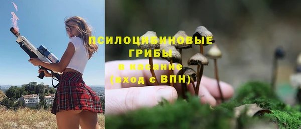 бошки Козловка