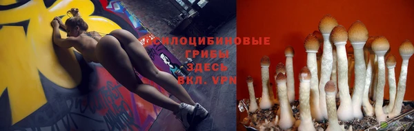стафф Кодинск