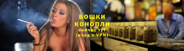 дурь Козельск