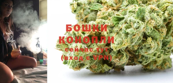 стафф Кодинск