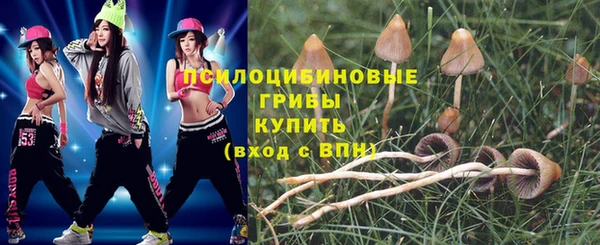 бошки Козловка