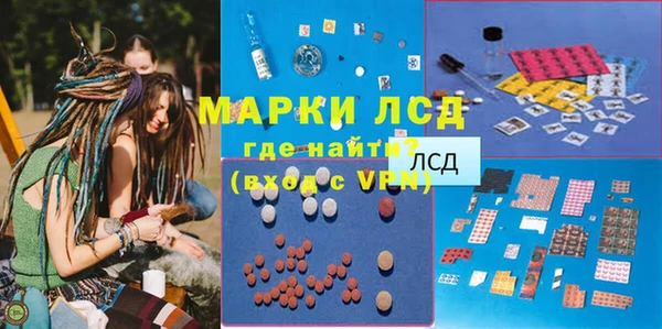 стафф Кодинск