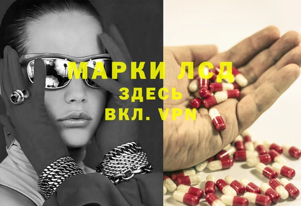 стафф Кодинск
