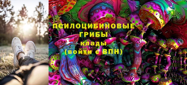 дурь Козельск