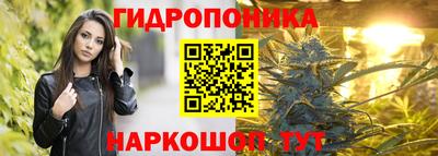 МДМА Можга