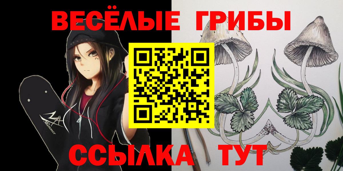 Галлюциногенные грибы MAGIC MUSHROOMS  закладки  Нарткала  Вход с VPN 
