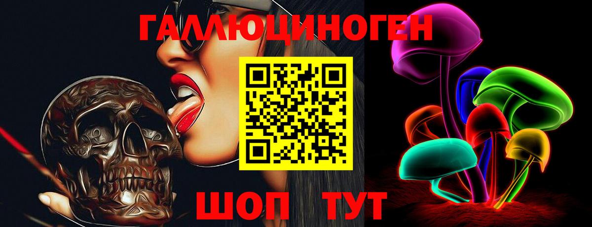Псилоцибиновые грибы Cubensis Нарткала