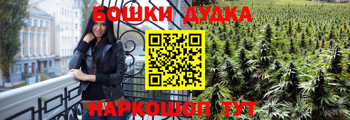 Нарткала  Конопля OG Kush  Конопля SATIVA & INDICA  Канабис семена  Канабис планчик  Вход с VPN 